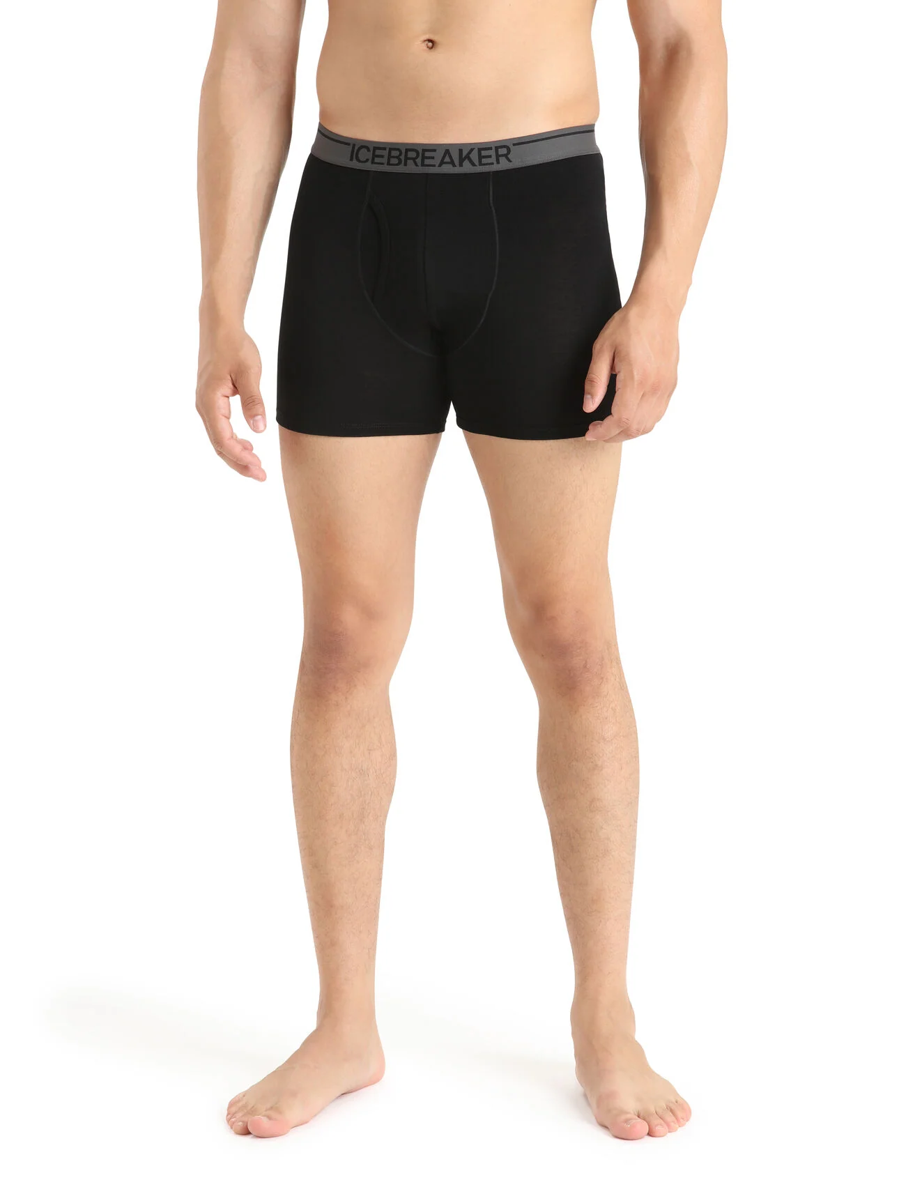 Icebreaker Anatomica Boxers W/Fly Men's - Image 7