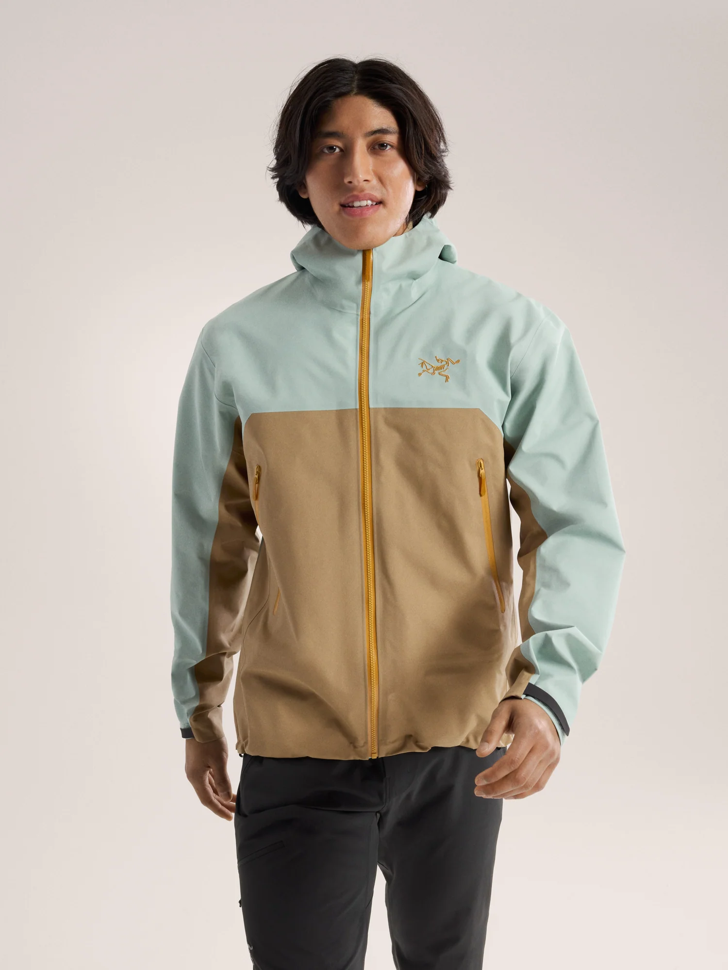 Arcteryx Beta Jacket Men's