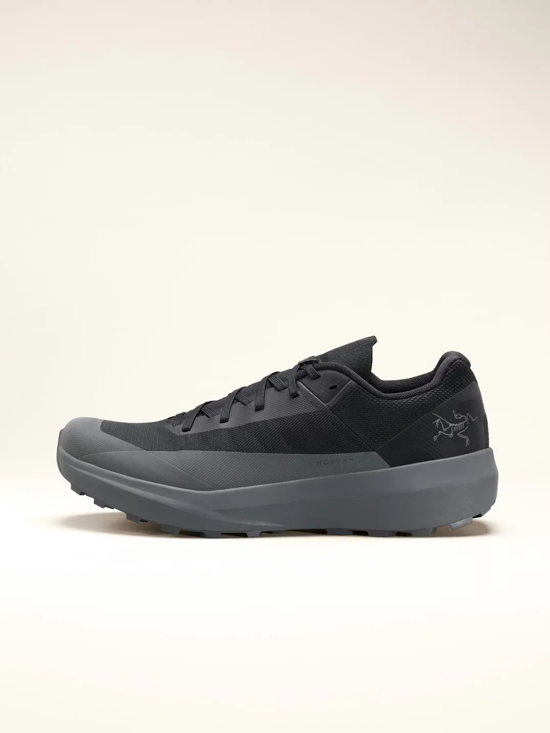 Arcteryx Norvan LD 4 Women's