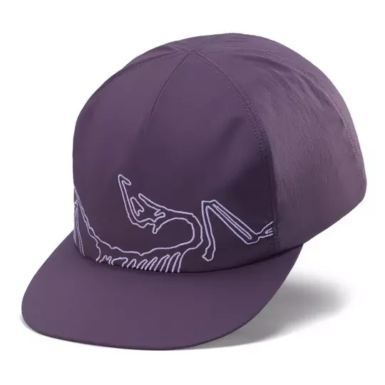 Arc'Teryx Silex Cap