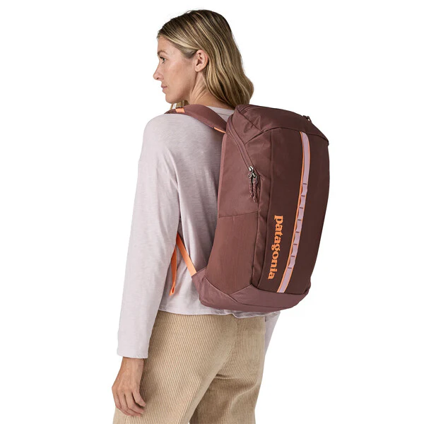 Patagonia Black Hole Pack 25L - Image 6