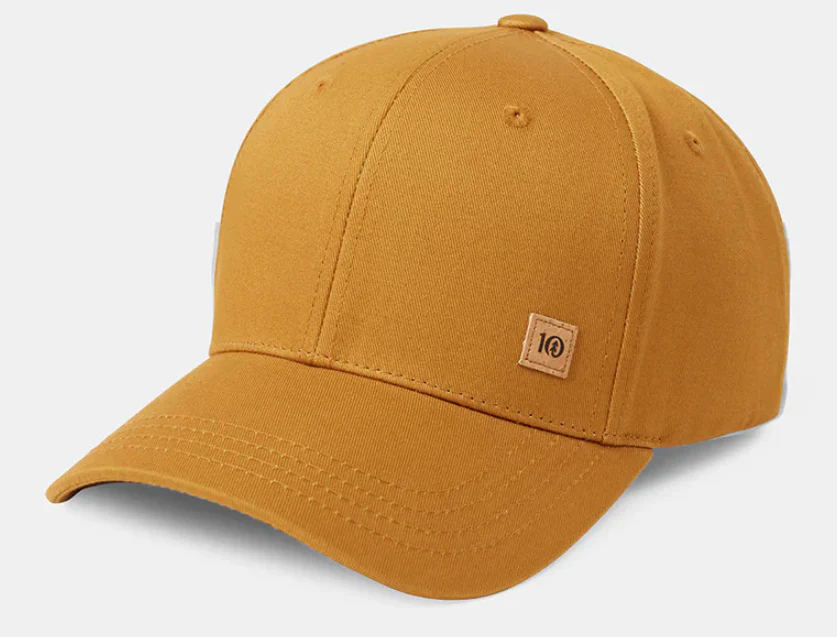 Tentree Cork Icon Elevation Hat - Image 4