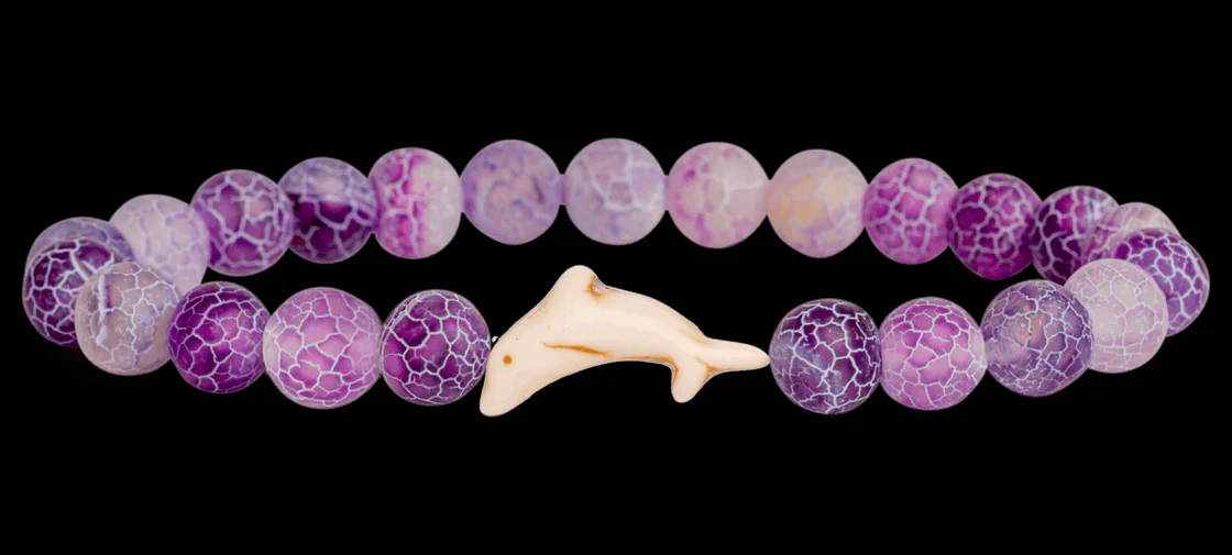 Dolphin Tracking Bracelet