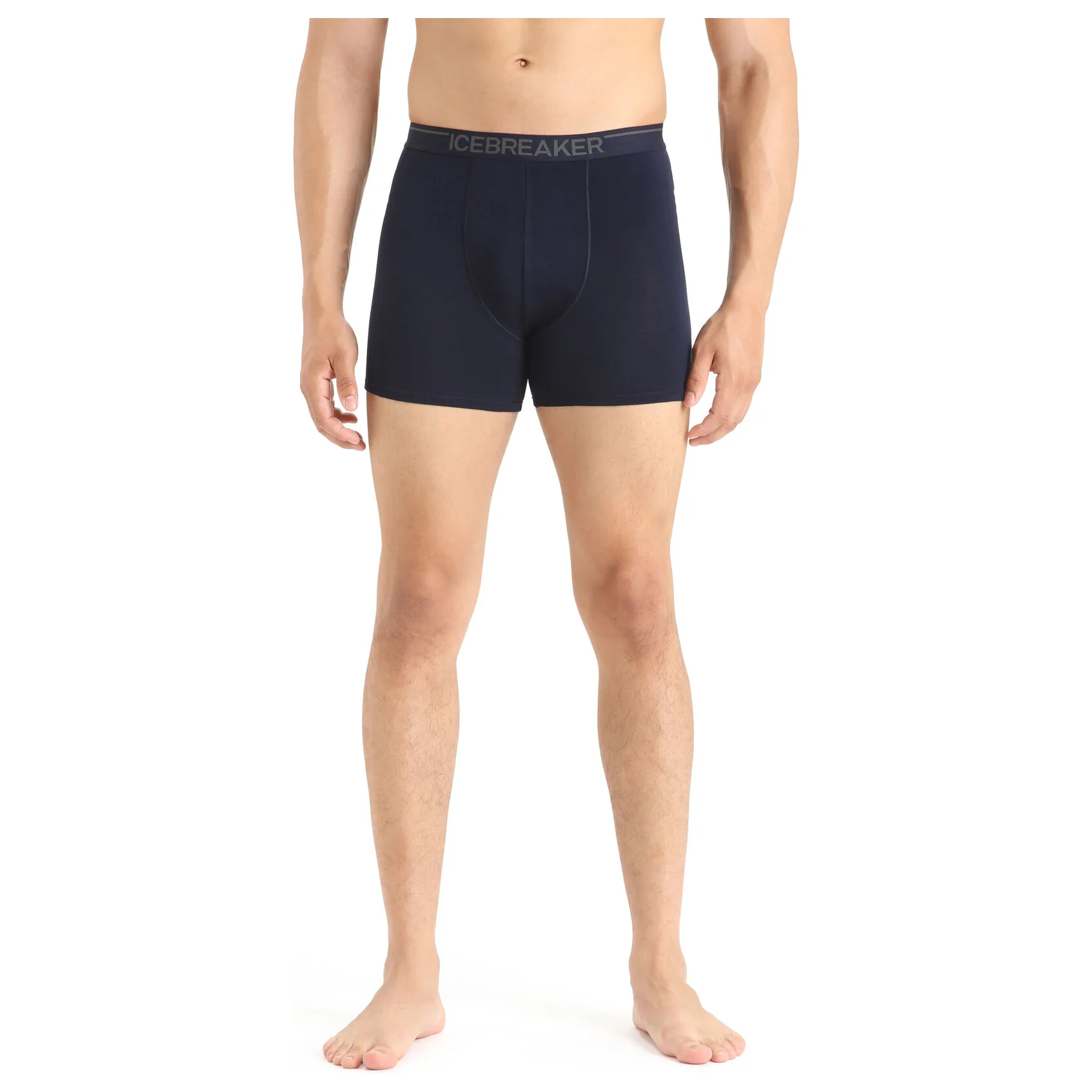 Icebreaker Merino Anatomica Boxers Men's
