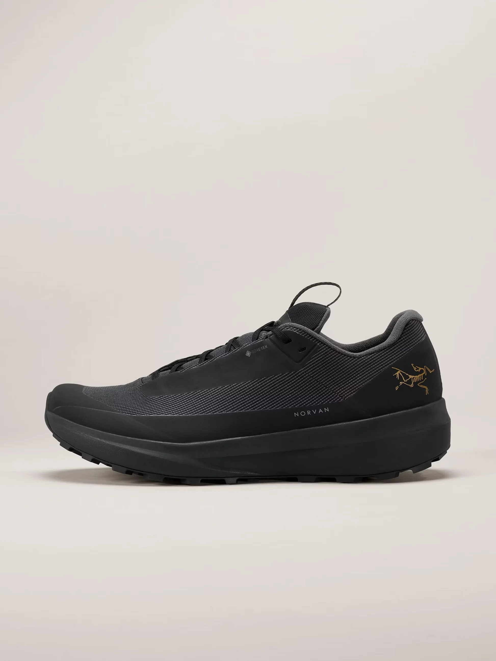 Arcteryx Norvan LD 4 GTX Men's