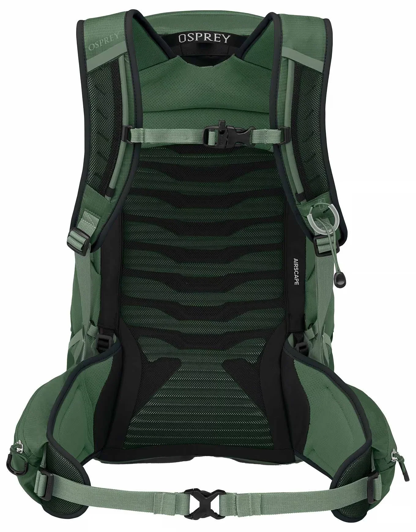 Osprey Talon 22 - Image 5
