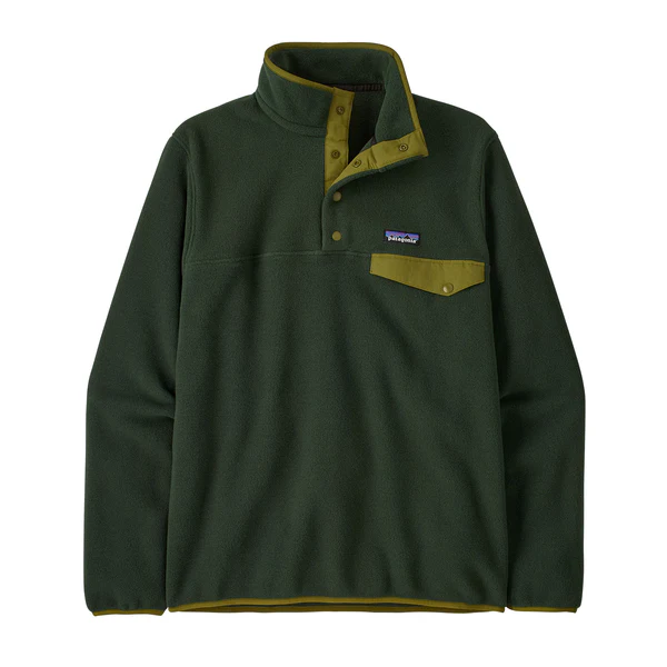 Patagonia LW Synchilla Snap-T Fleece P/O Men's - Image 16