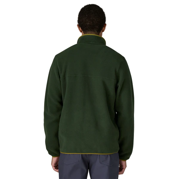 Patagonia LW Synchilla Snap-T Fleece P/O Men's - Image 17