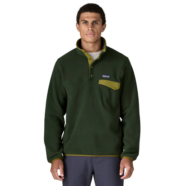 Patagonia LW Synchilla Snap-T Fleece P/O Men's - Image 18