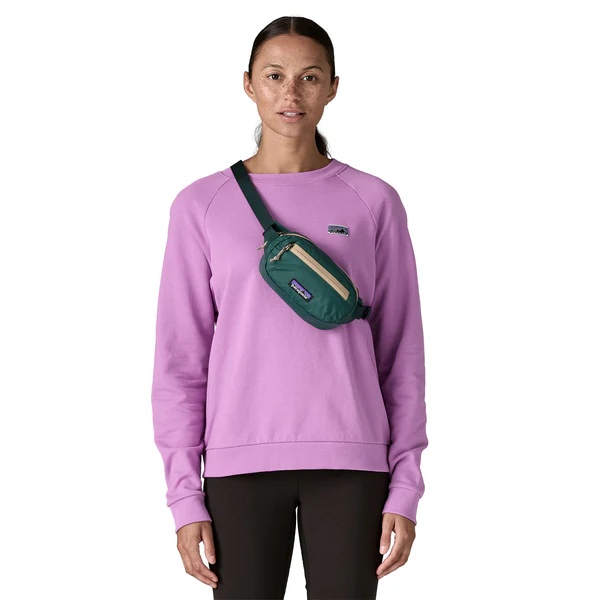 Patagonia Terrevia Mini Hip Pack - Image 21