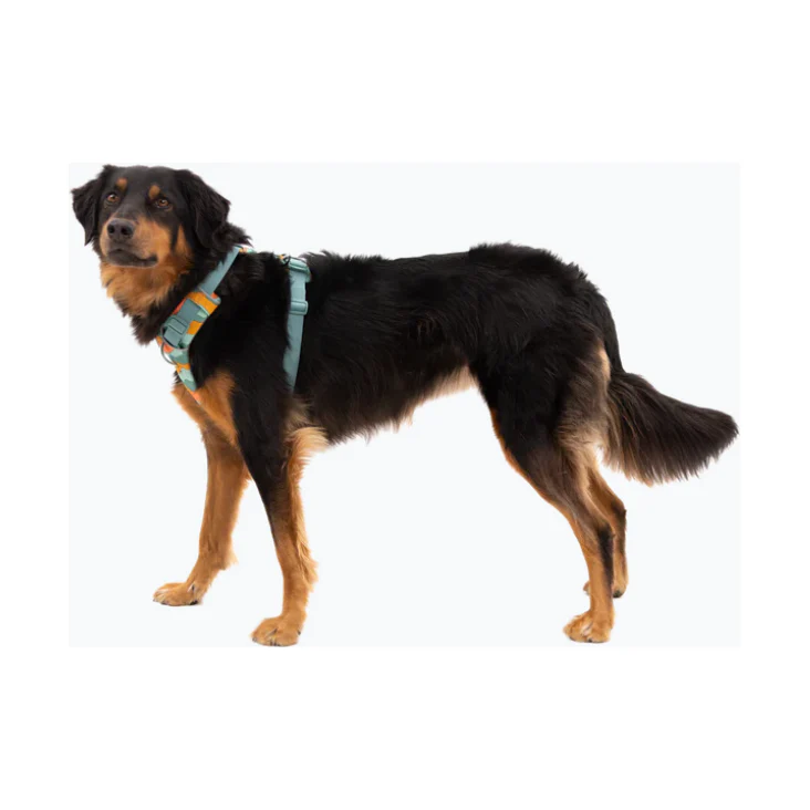 Ruffwear Front Range Harness - Image 3