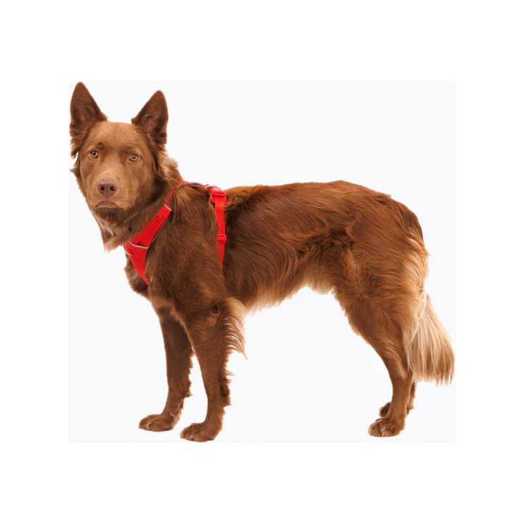 Ruffwear Front Range Harness - Image 6