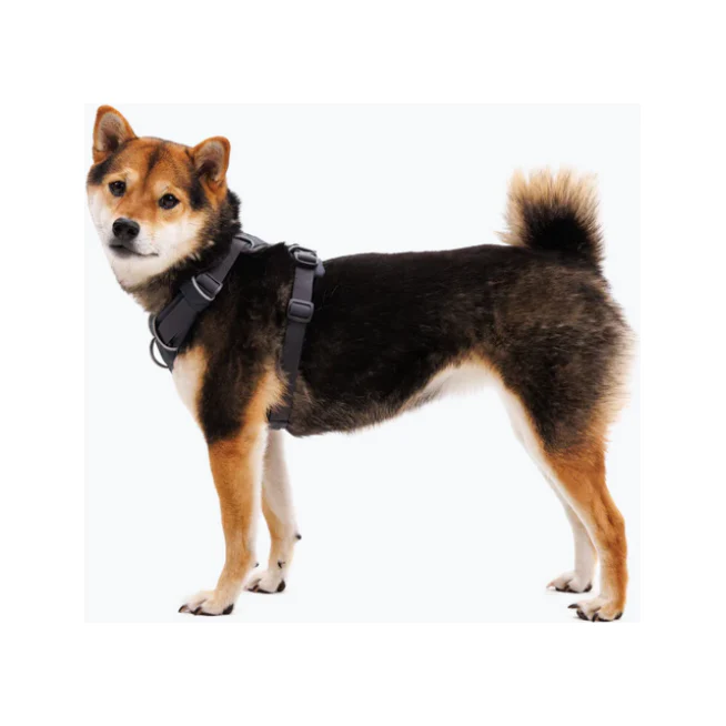 Ruffwear Front Range Harness - Image 9