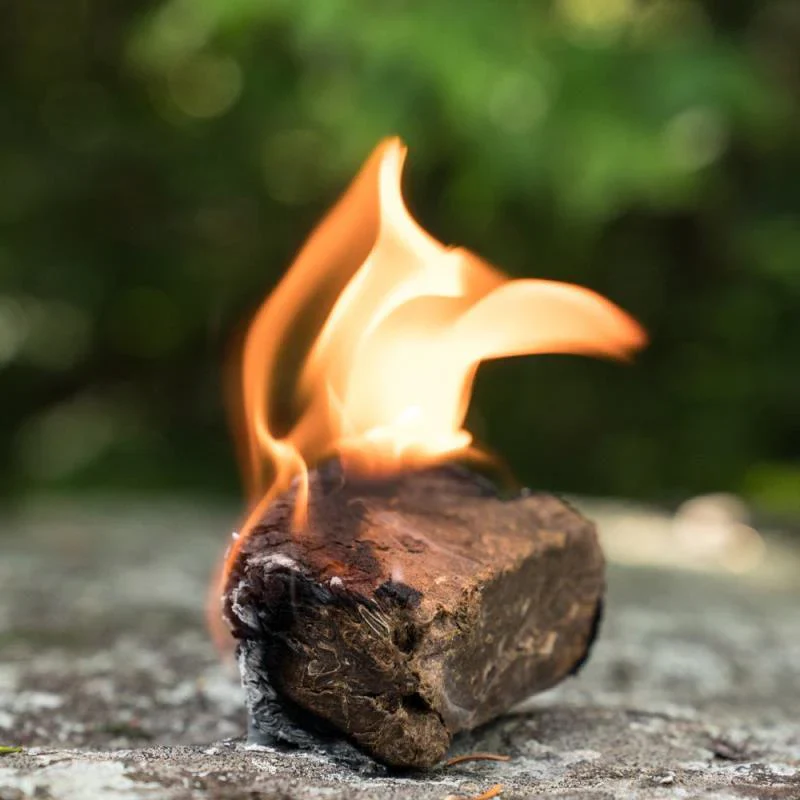 Vesta Firestarter - Image 3